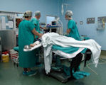 Medical & Health Care